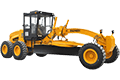 XG31651