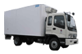 foton-1099