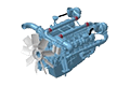 DP222LCS